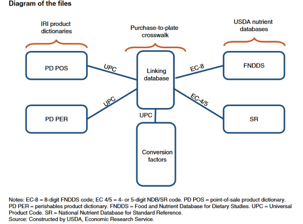 Diagram showing pruchase-to-plate relationship between dictionaries and databases